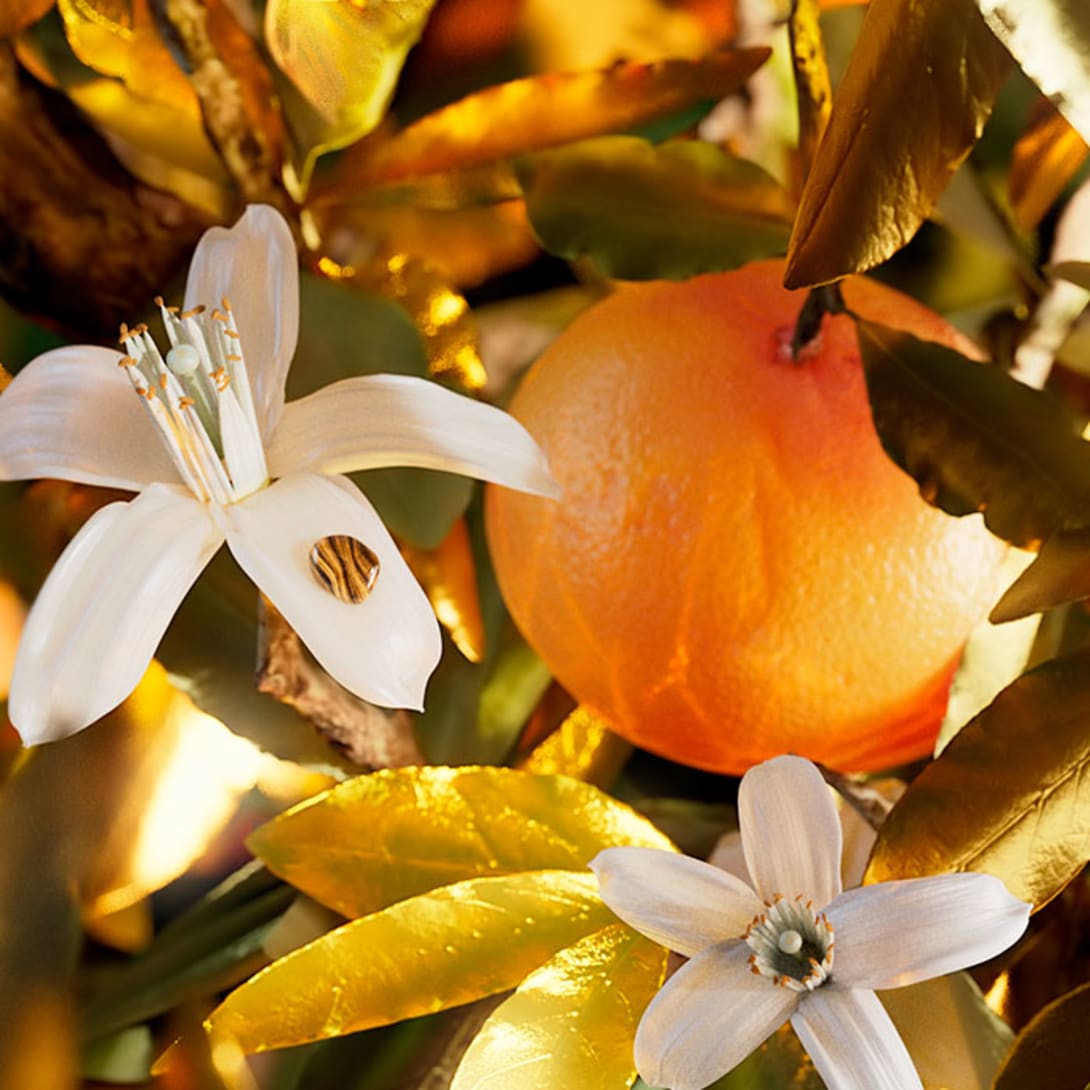 olfactive note of tygar collection le gemme 