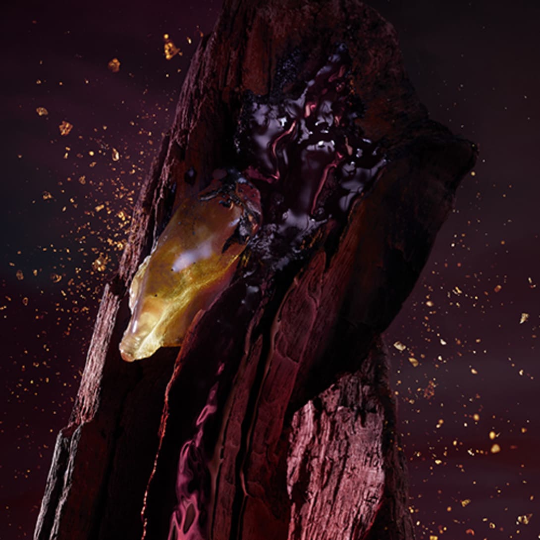 Creative shot of the olfactive ingredients of the Bvlgari Man in Black Eau de Parfum.