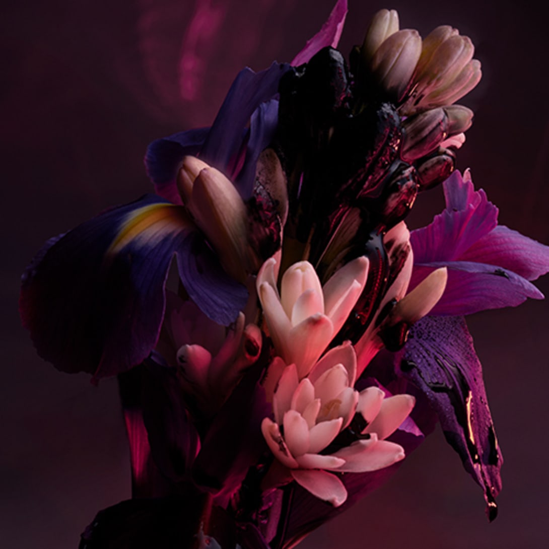 Creative shot of tuberose and iris, the heart notes of the Bvlgari Man in Black Eau de Parfum.