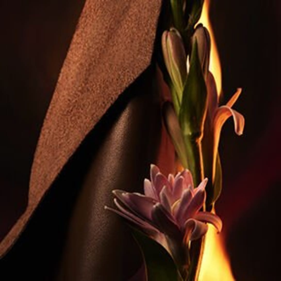 Creative shot of tuberose and the leather accord, the heart notes of the Bulgari Man in Black perfume.