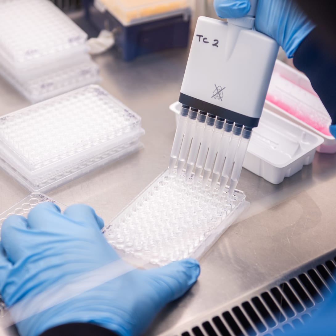 Image representing the collaboration with the Jenner Institute supporting the development the ‘Oxford vaccine’.