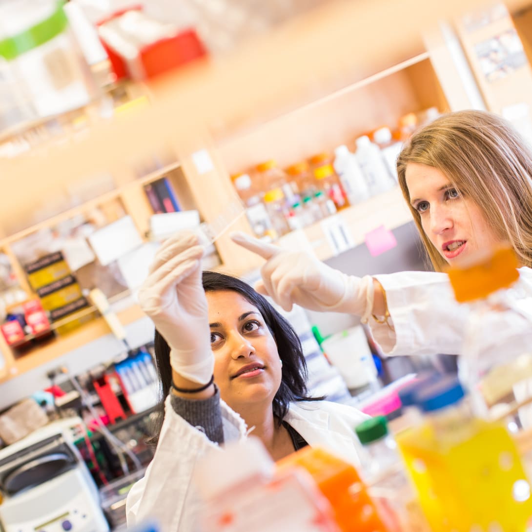 women scientists in the fight against COVID-19