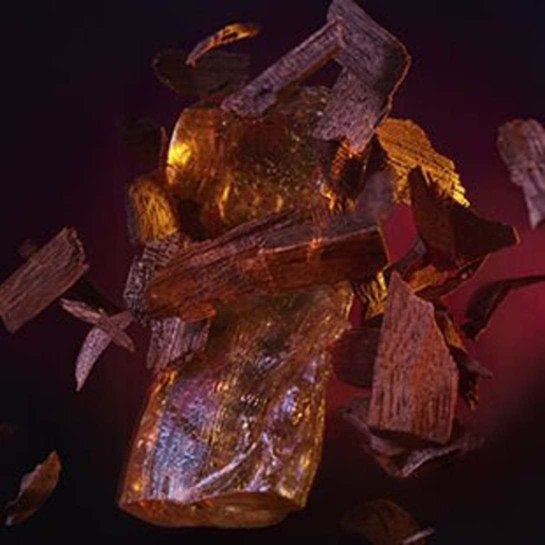Creative shot of tonka bean and guaiac wood, the base notes of the Bulgari Man in Black perfume.