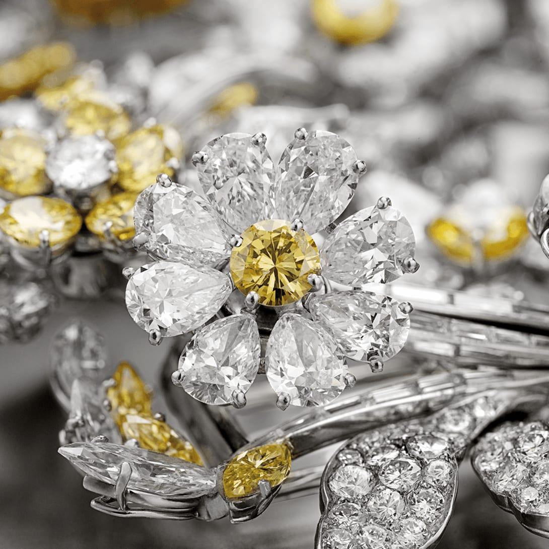 Nature image from Bulgari heritage collection