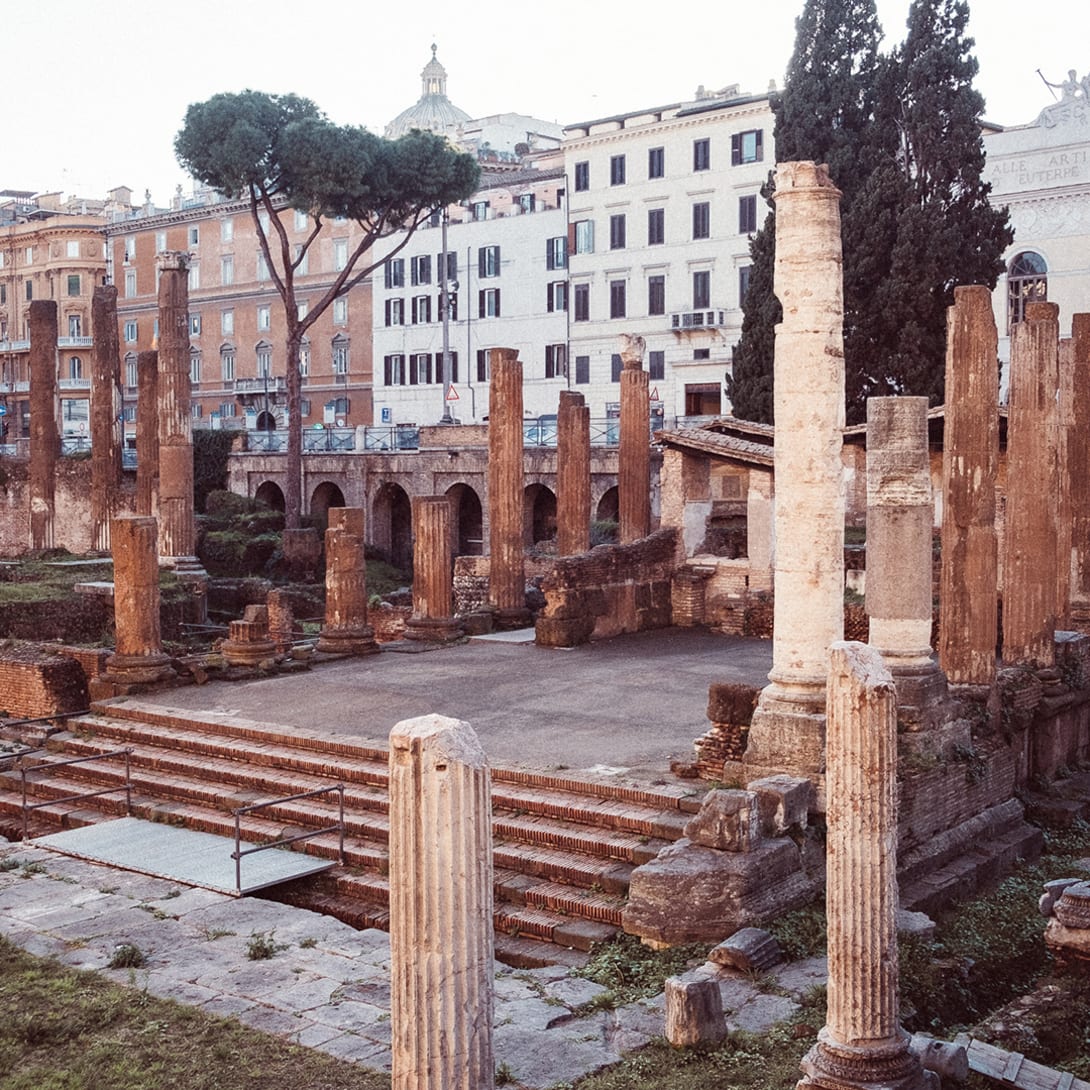 Image representing Largo di Torre Argentina in Rome.