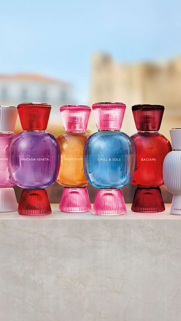 allegra collection 