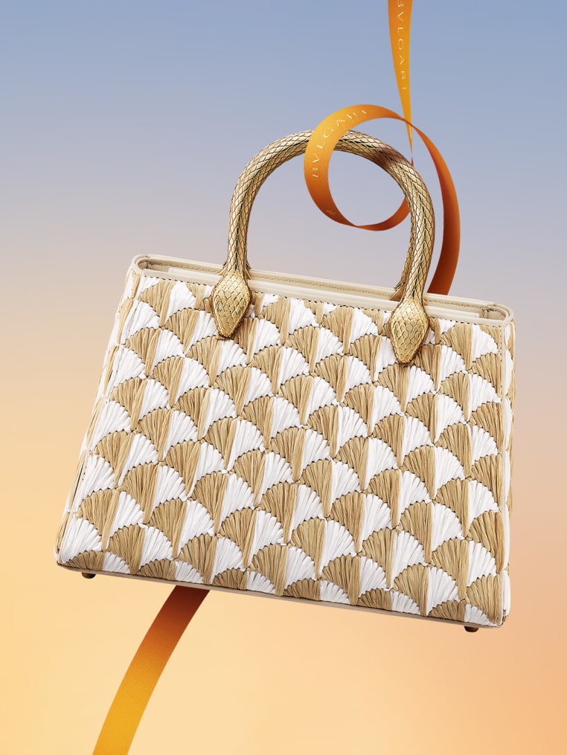 Picture representing Bvlgari Bag.