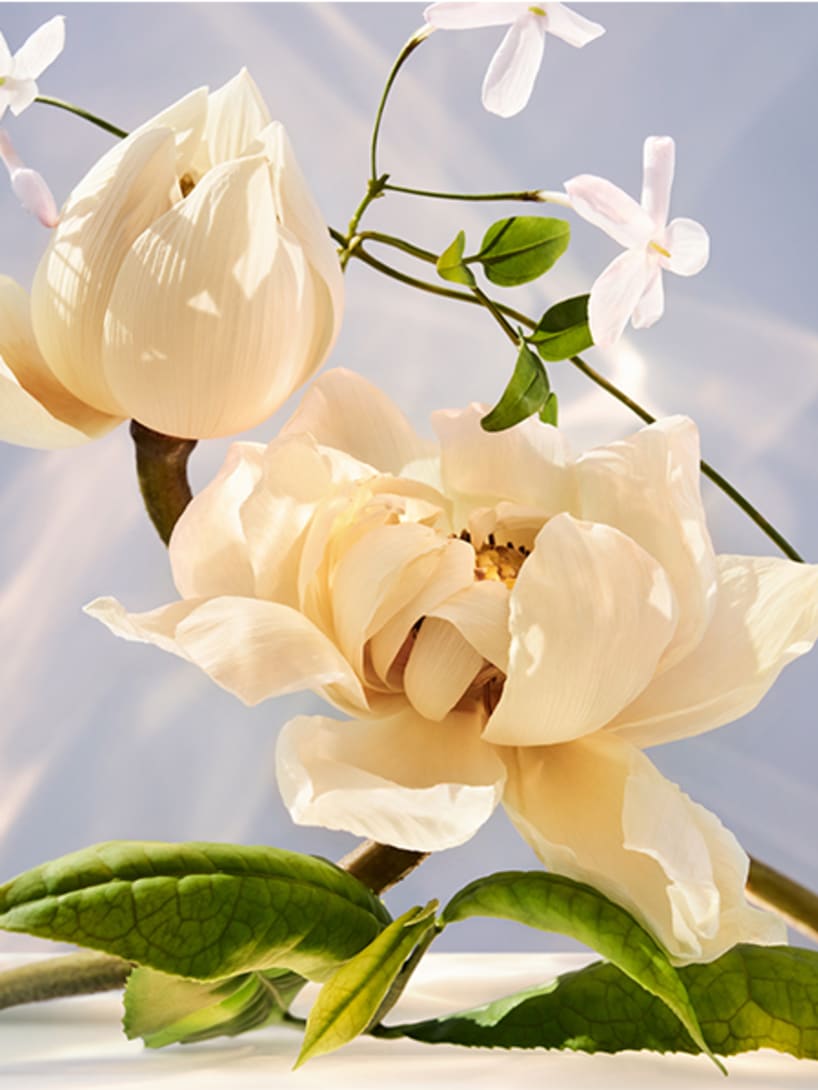 Green tea leaves, lotus and jasmine flowers, heart notes of Omnia Crystalline Eau De Parfum, creative shot.