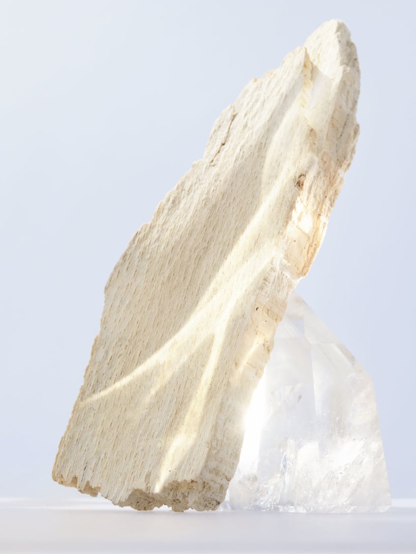 Balsa wood, the base note of the Omnia Crystalline fragrance, with crystals, creative shot.