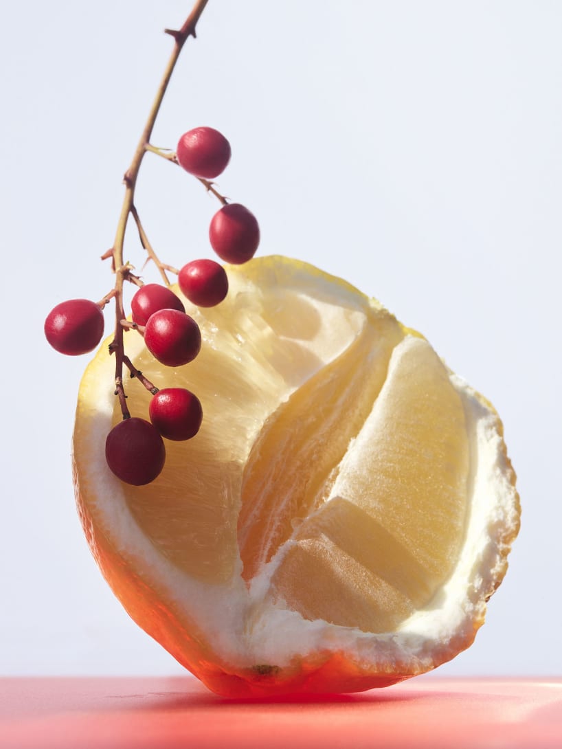 Bergamot and goji berries, the top notes of the Omnia Coral fragrance, creative shot.