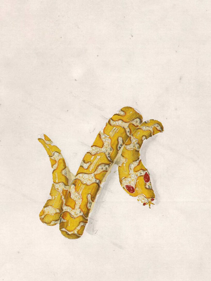 Sketch of Serpenti
