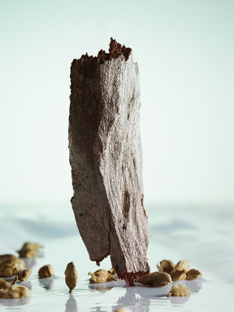 Creative shot of guaiac wood, one of the olfactive ingredients of Bulgari Pour Homme Eau de Toilette.