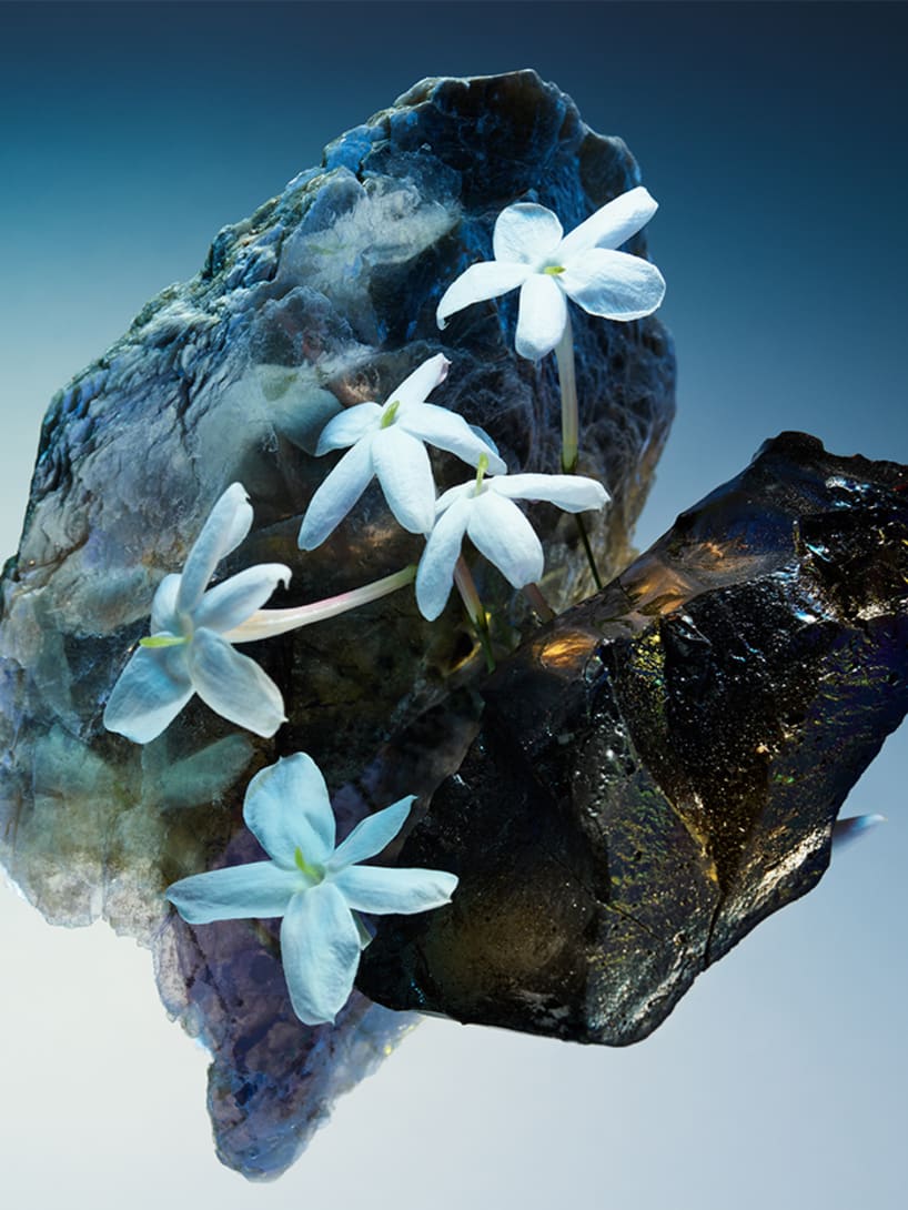 Creative shot of the ingredients and inspirations behind the Bvlgari Le Gemme Amunae fragrance.
