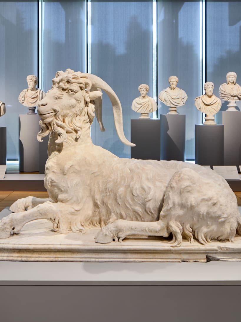 Sarcophagus relief part of the Torlonia Collection on display at the Kimbell Art Museum.