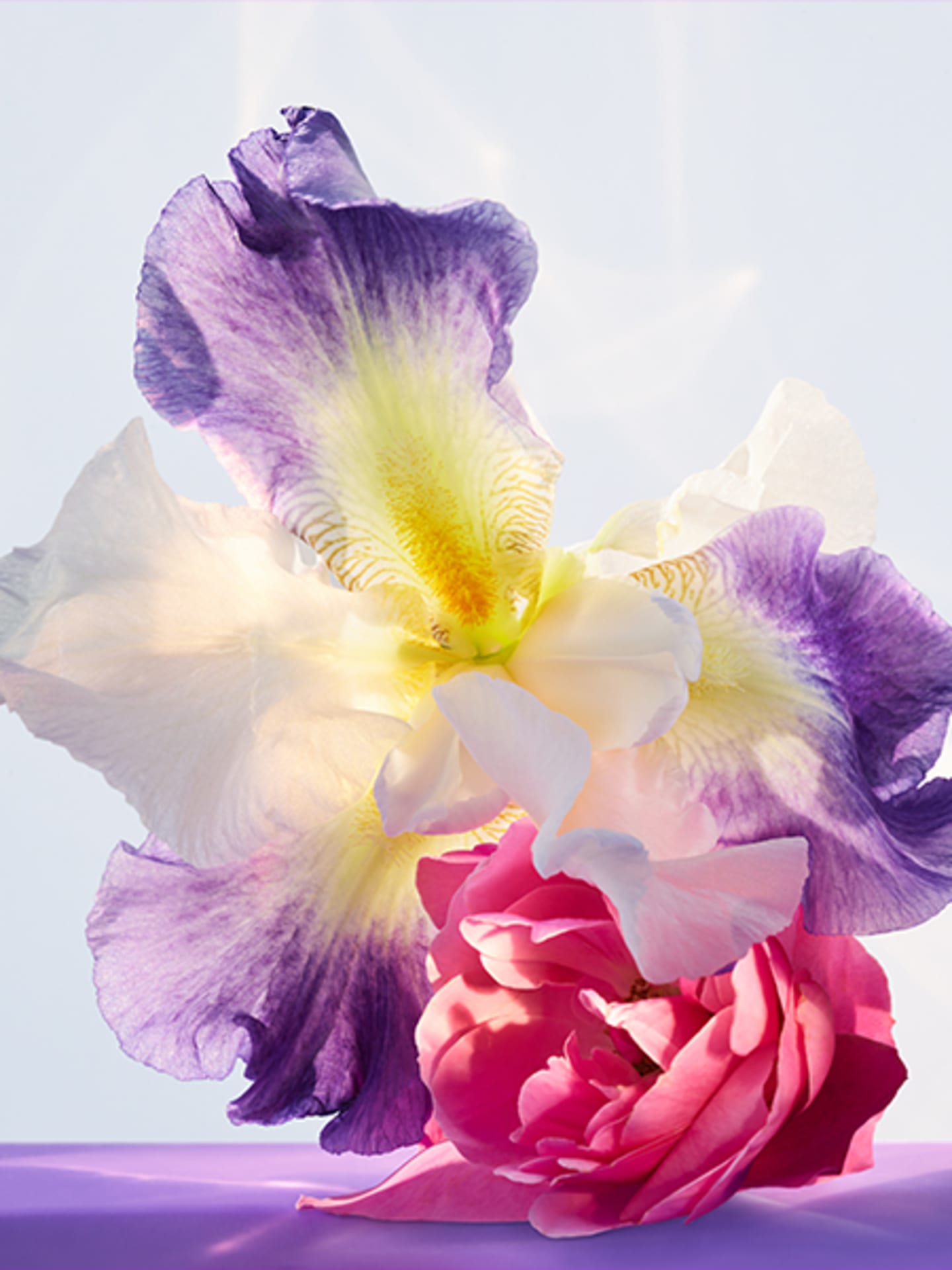Omnia Fragrance Collection | Bvlgari Official Store