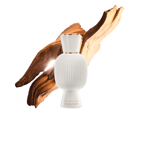 ブルガリ　アレーグラ　マグニファイング　バニラ　EDP ブルガリ アレーグラ マグニファイング バニラ オードパルファム 40mL