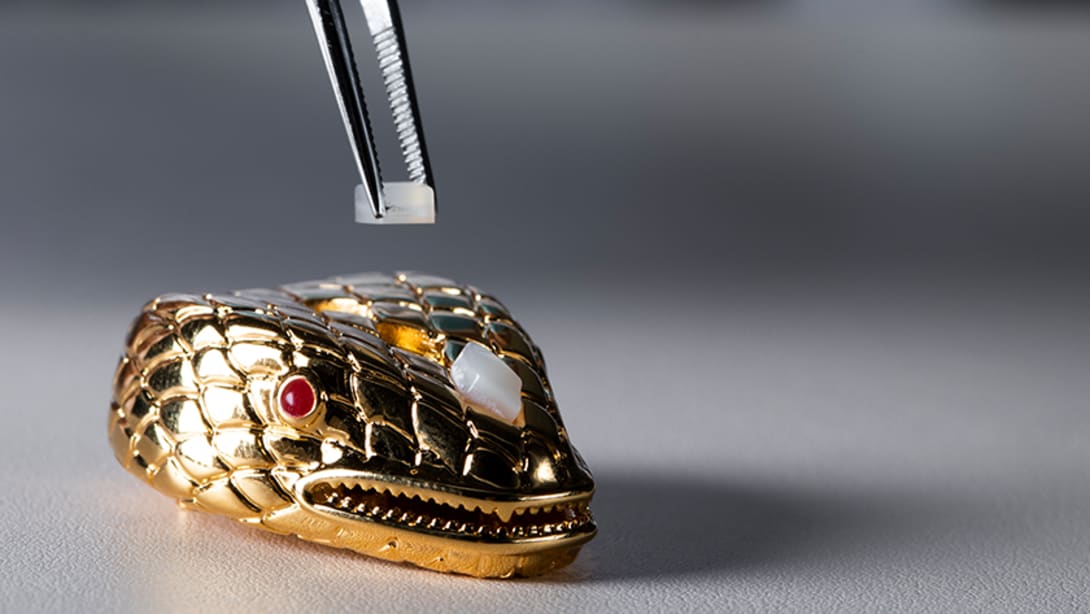 Setting of gems on the metal snakehead closure of Bulgari's Leather Goods and accessories.