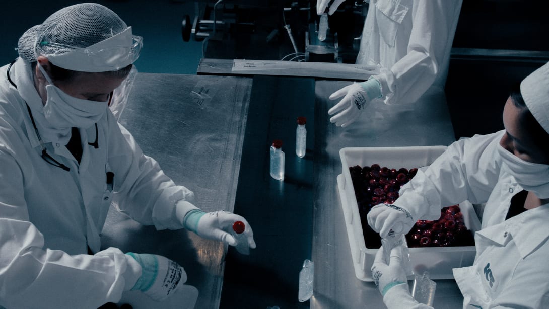 Women producing Bulgari hand sanitizer to fight Covid-19 during the pandemic emergency.