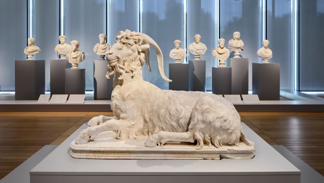 Sarcophagus relief part of the Torlonia Collection on display at the Kimbell Art Museum.