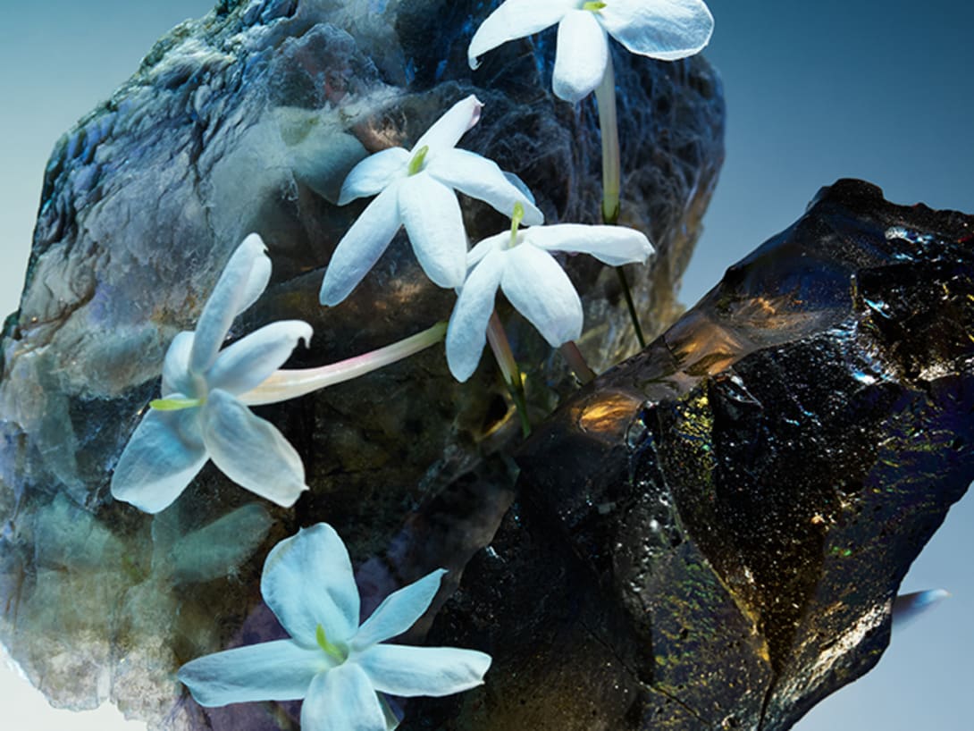 Creative shot of the ingredients and inspirations behind the Bvlgari Le Gemme Amunae fragrance.