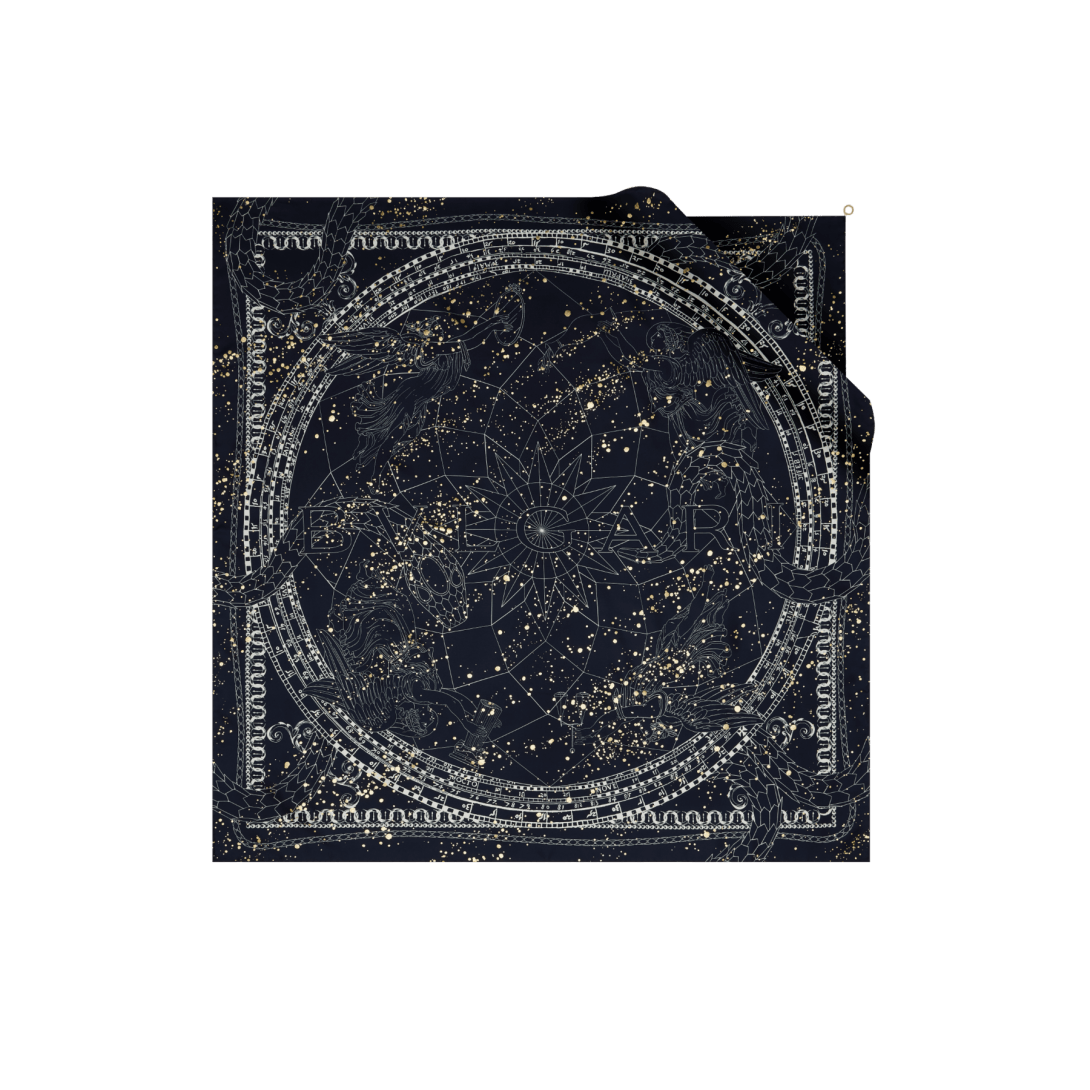 Serpenti Foulard 246103