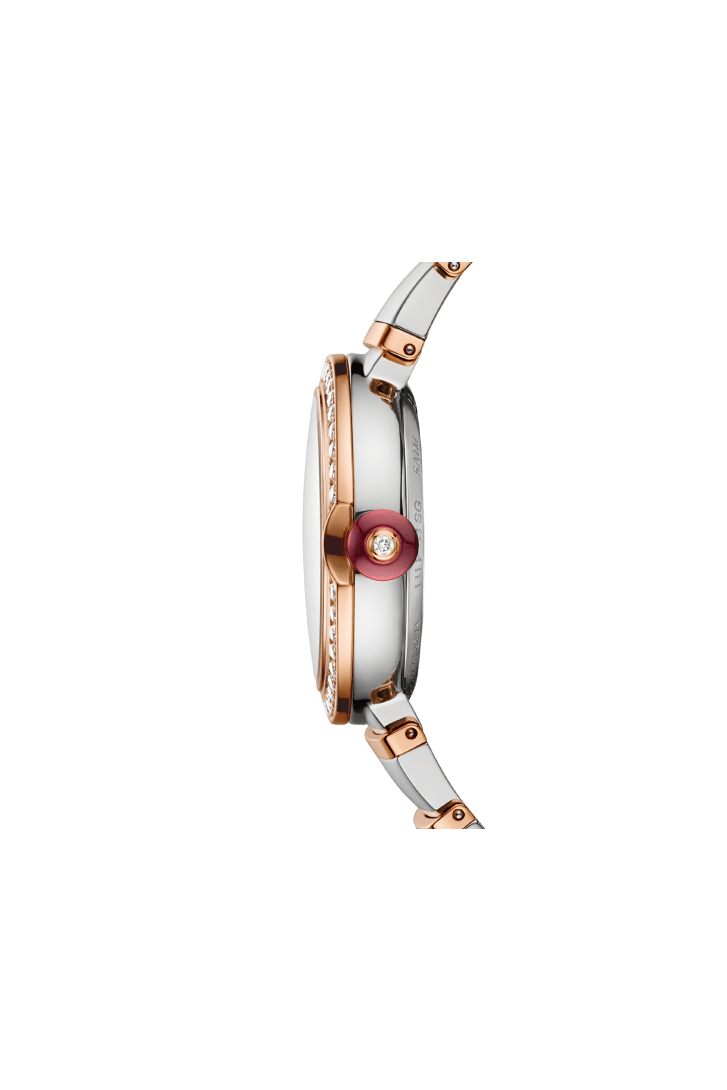 LVCEA Watch