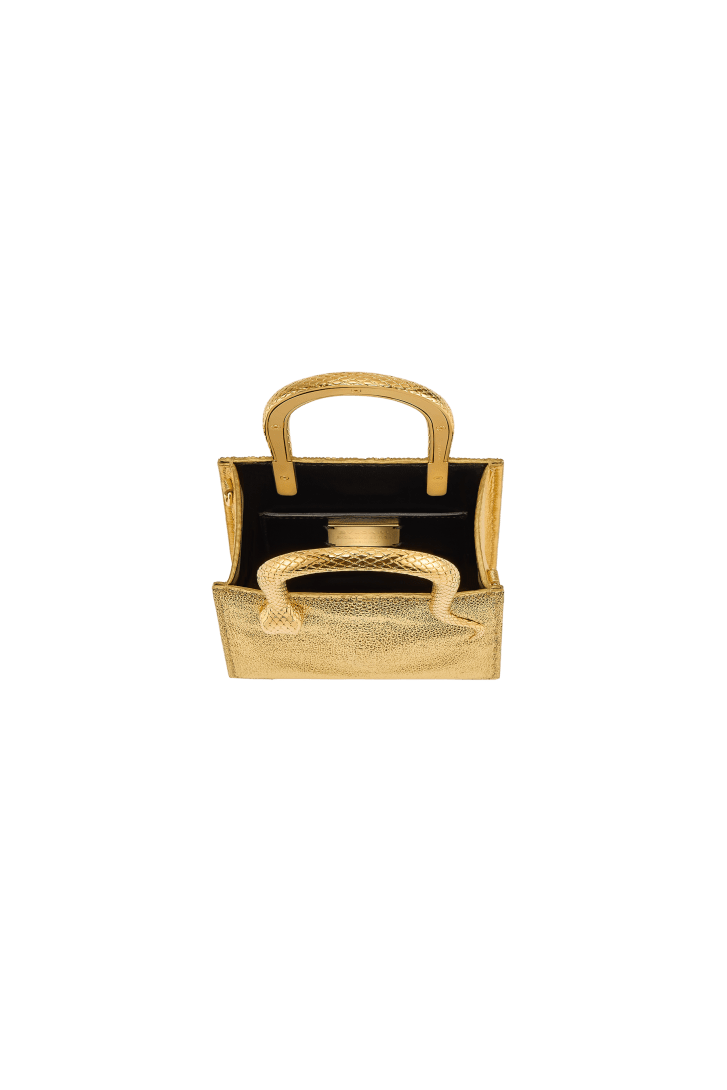 Serpentine Mini tote