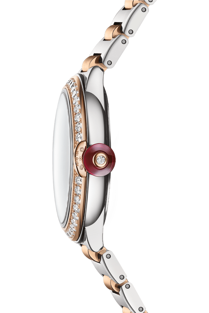 LVCEA Watch