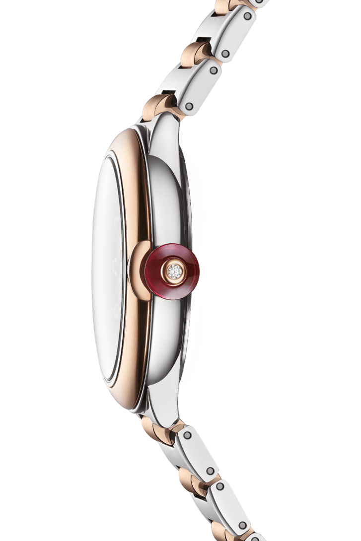 LVCEA Watch