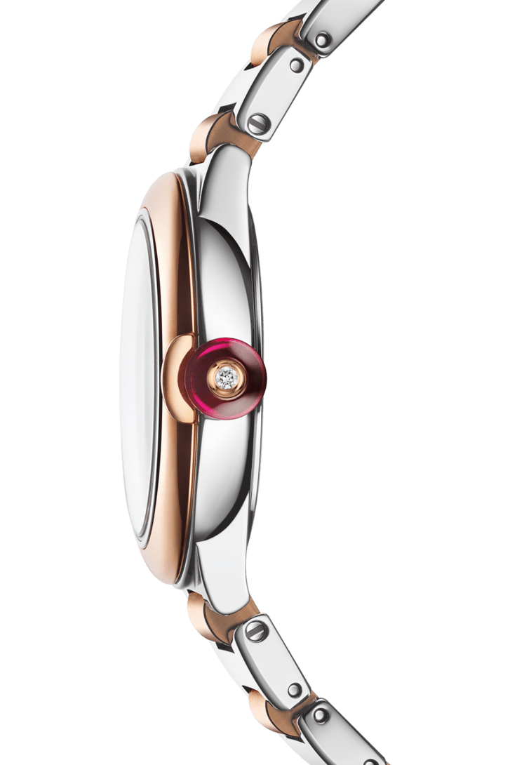 LVCEA Watch