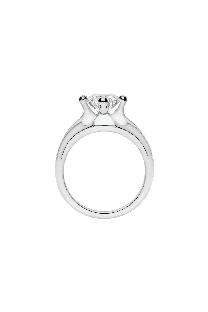 Corona Ring