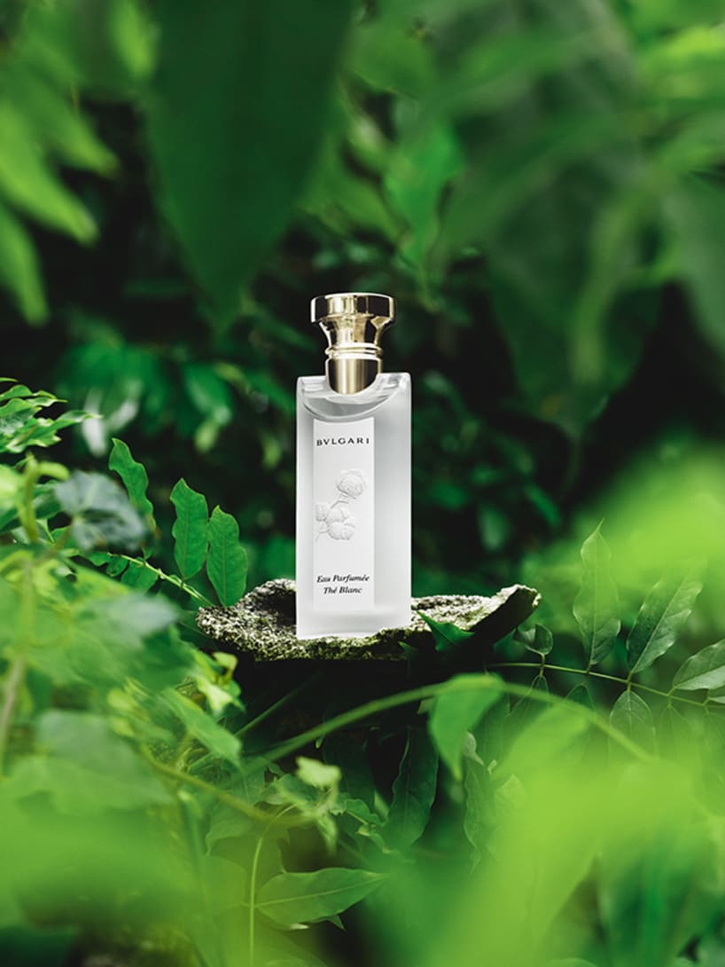 Eau Parfumée Thé Blanc Eau de Toilette