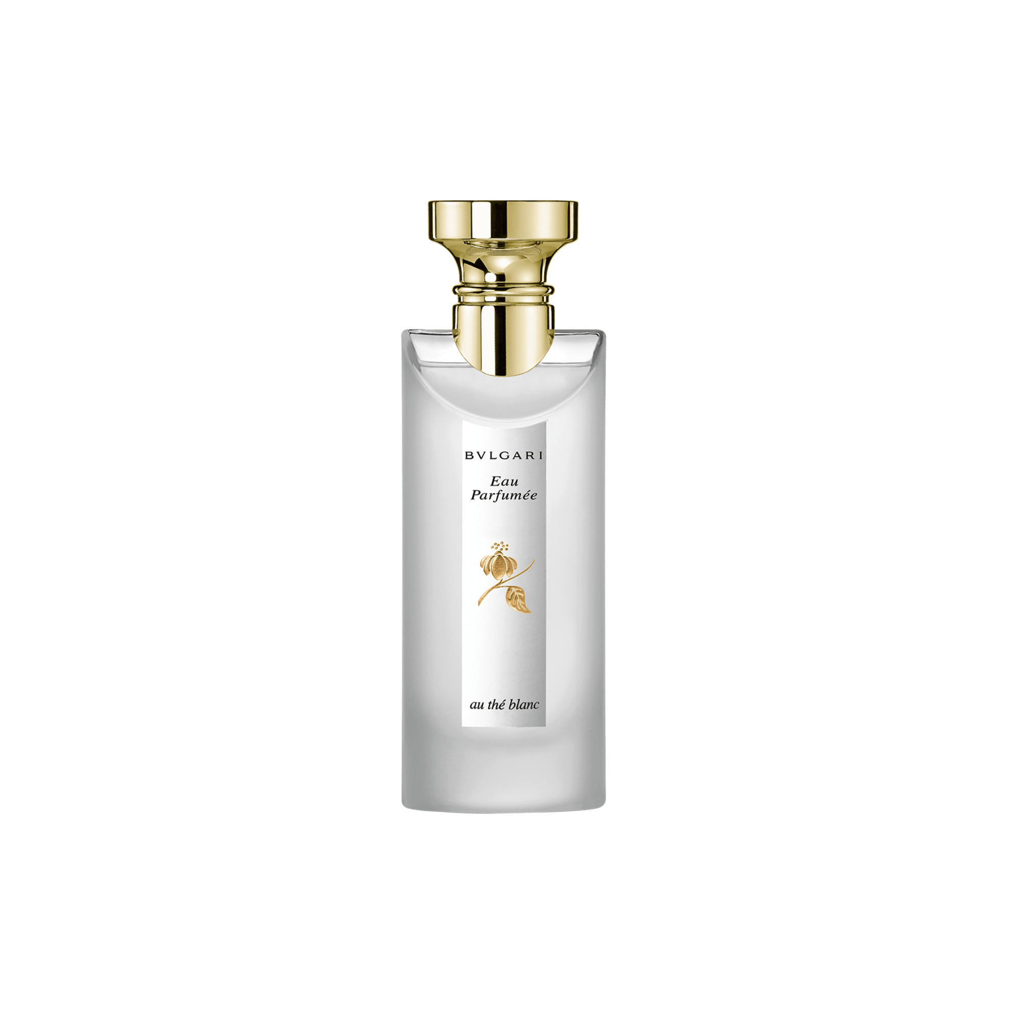 Bvlgari kids perfume hotsell