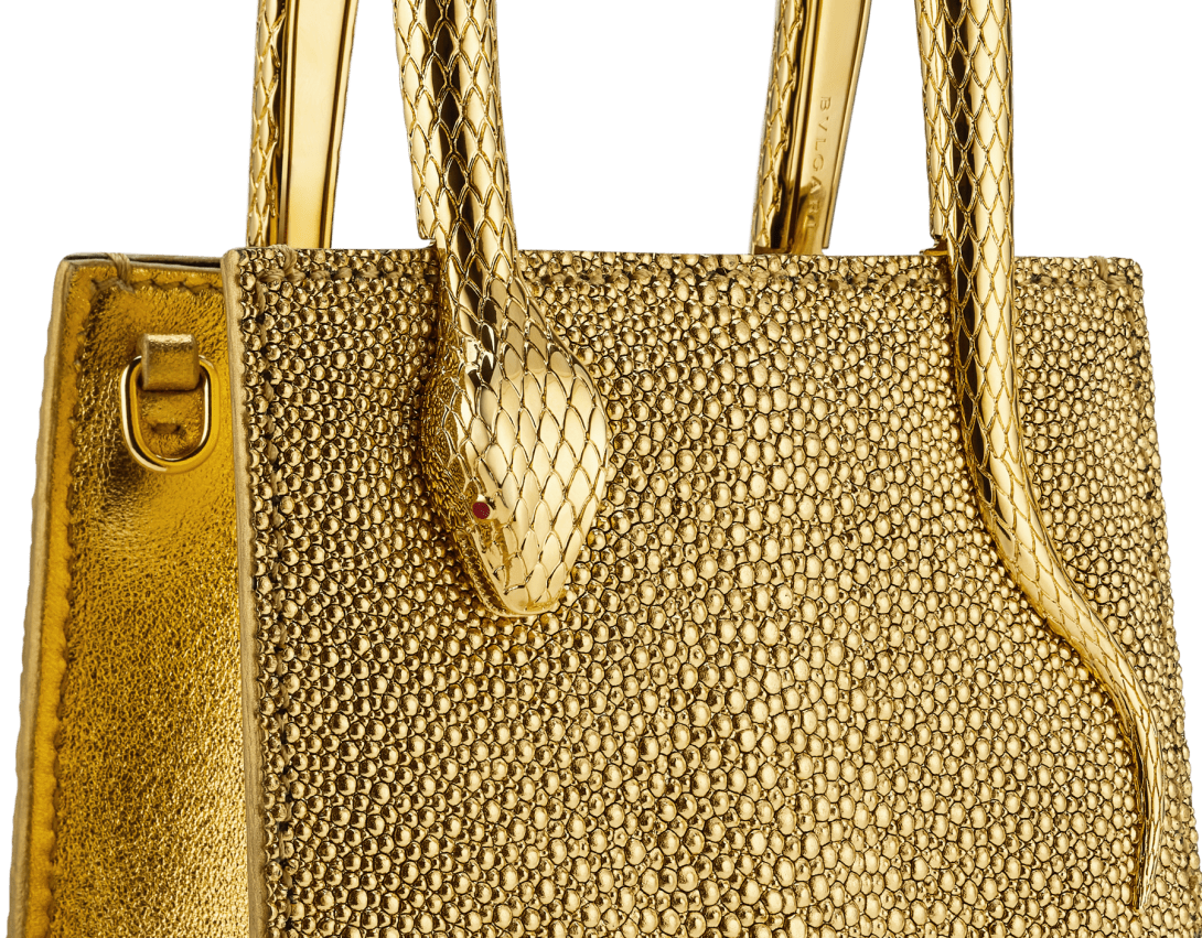 Serpentine Mini tote