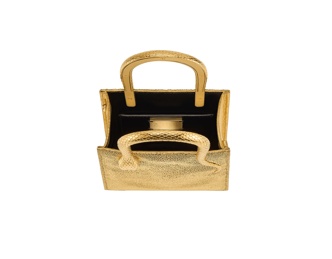Serpentine Mini tote