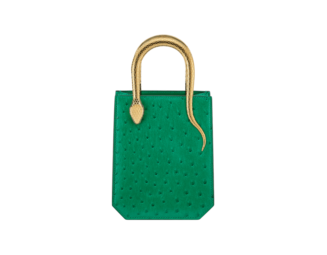 Serpentine Mini tote