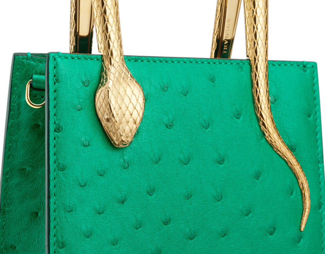 Serpentine Mini tote