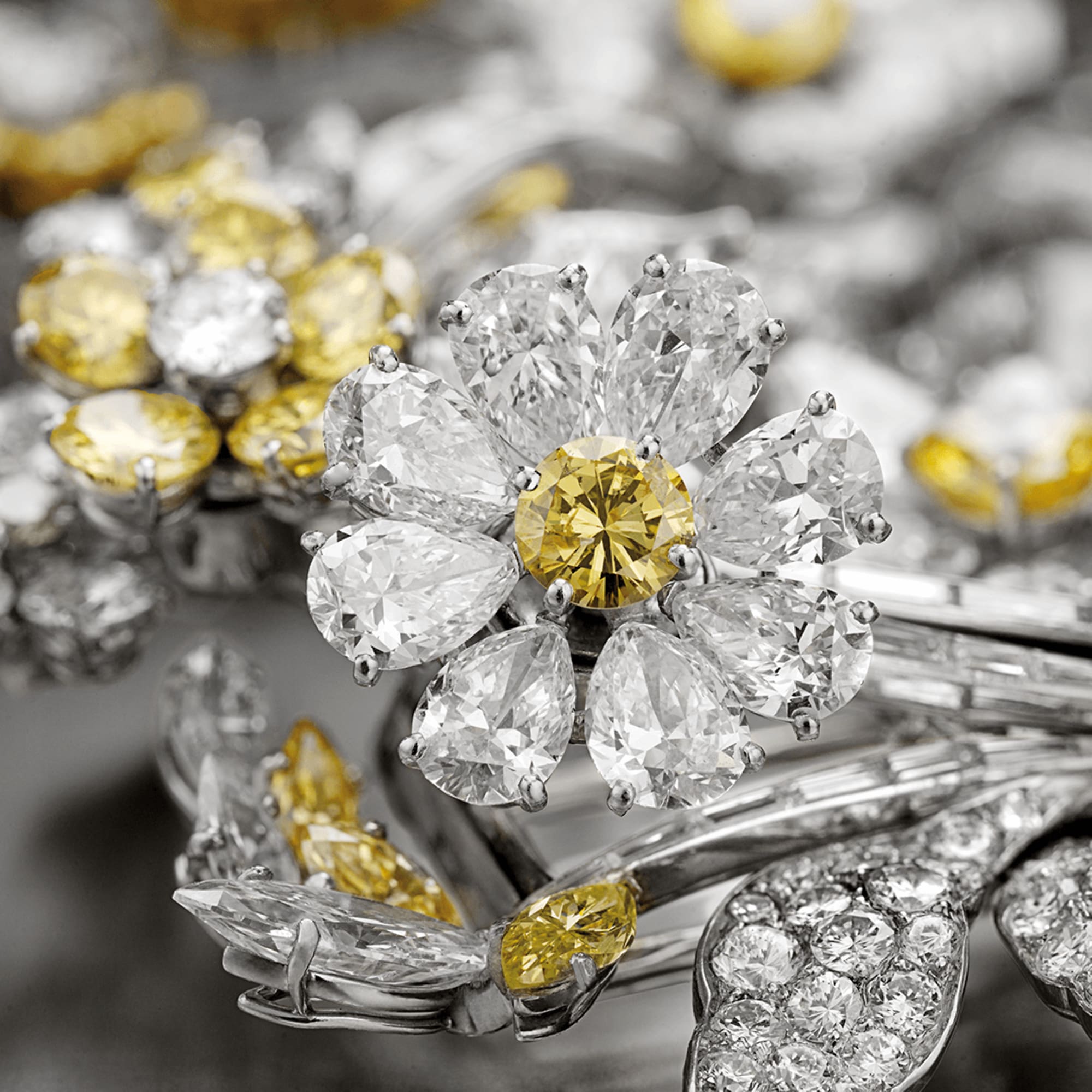 Nature Bvlgari Heritage Collection Bvlgari Official Store
