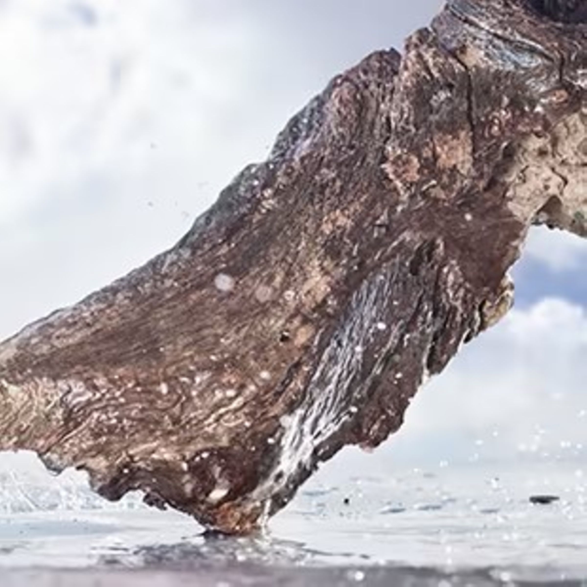 Creative shot of the olfactive ingredients of the Bulgari Man Rain essence fragrance.