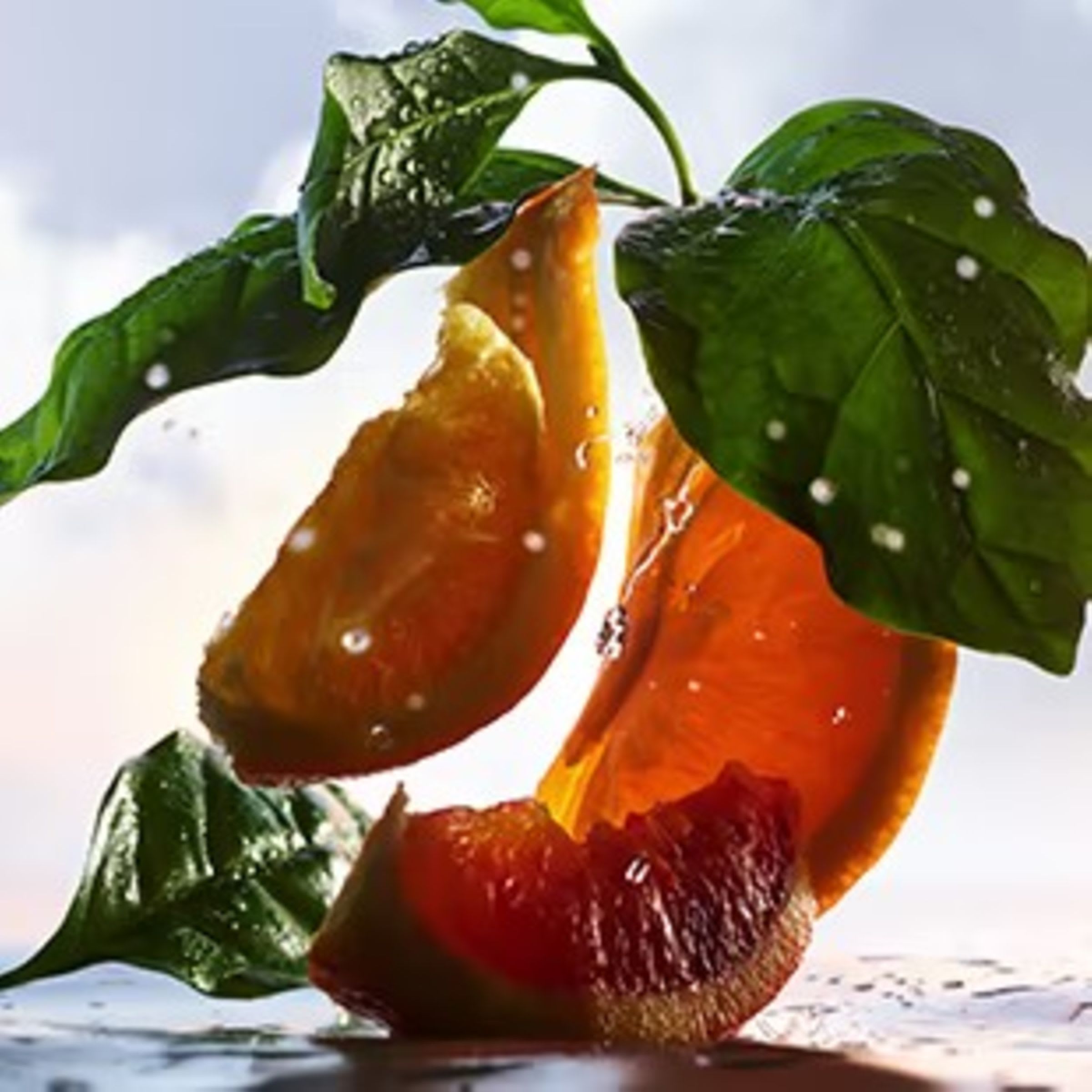 Creative shot of the olfactive ingredients of the Bulgari Man Rain essence fragrance.