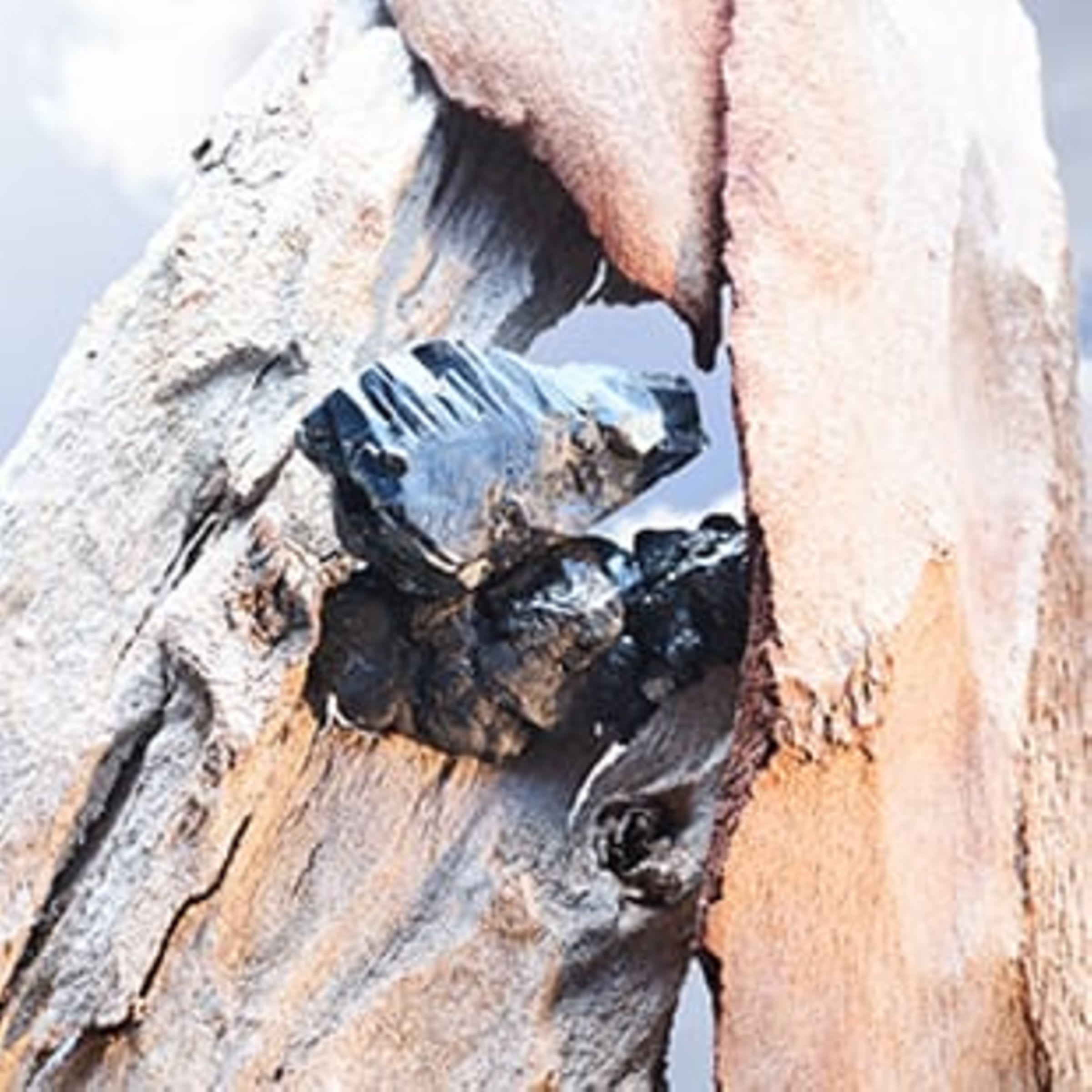 Creative shot of the olfactive ingredients of the Bulgari Man Rain essence fragrance.